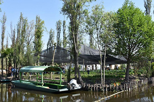 Chinampas De Xochimilco Un Sistema De Cultivo Historico